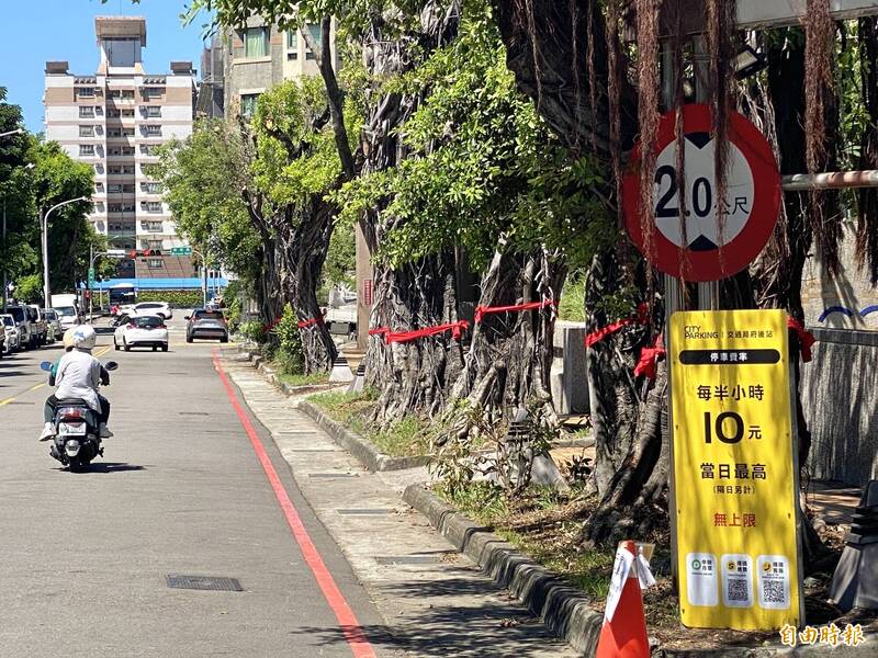 30年整排榕樹一夕剃光「斷頭」!台中居民頂艷陽牽手護樹