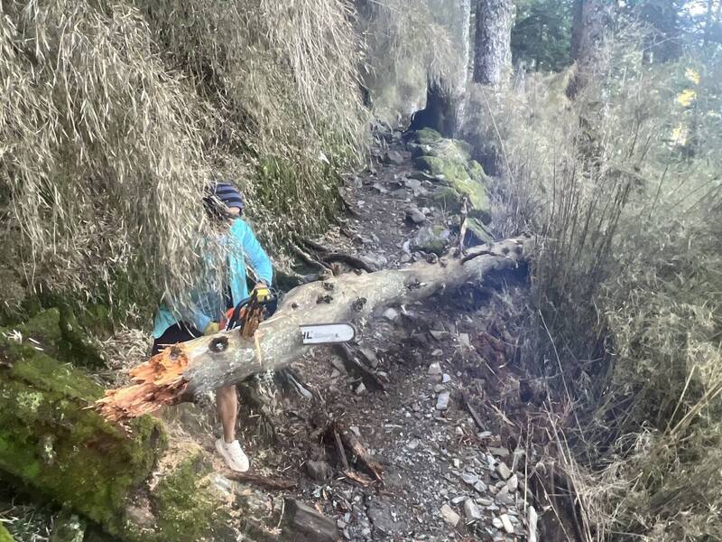 玉山長程縱走路線明開放 南橫三山、關山7/17解封