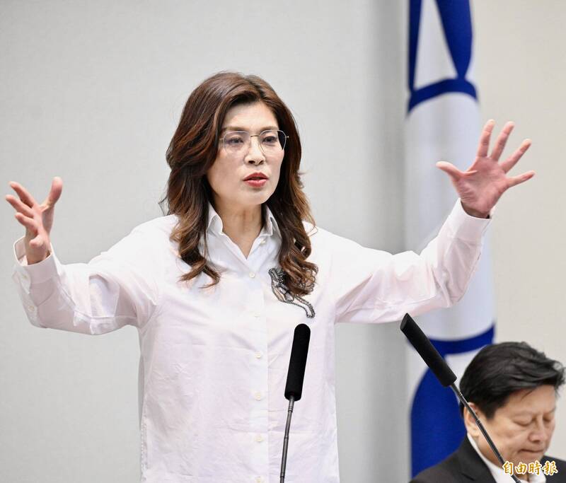「選戰指揮權交總統候選人」遭阻攔 張亞中：黨主席不該畏懼