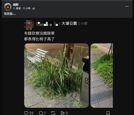 砍樹風波未平 周軒轉貼大湖公園現況:雜草叢生引民怨