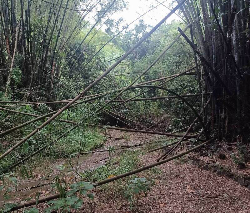 巴威重創彰化市石牌坑親水步道 急徵志工修復