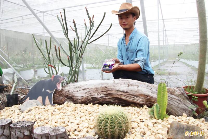 嘉義國產藍莓3-2》從澳洲果園到竹崎 郭肪伸與異業結合新農學