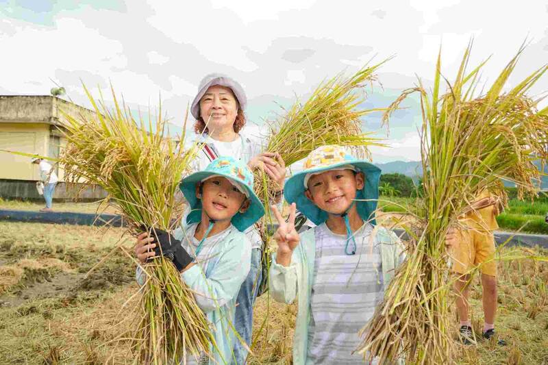 新北推友善田園區域計畫 友善耕作面積達325.6公頃