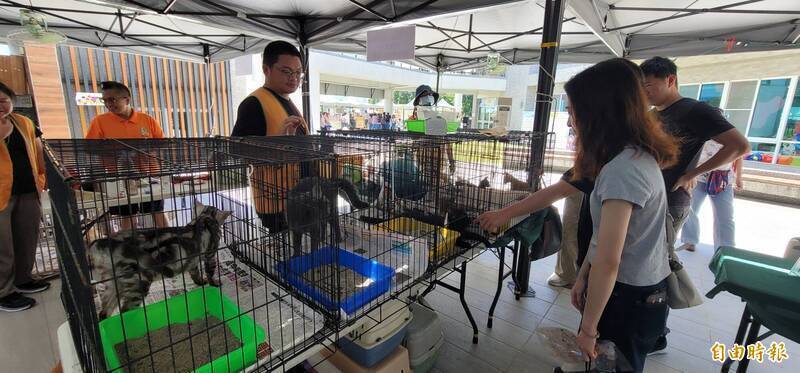 減輕公職獸醫負擔! 防檢署:動物醫事助理可到動物收容所服務