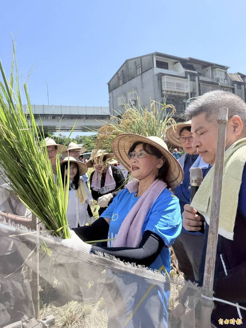 松菸食農園區割稻登場 在台北市區體驗農村文化