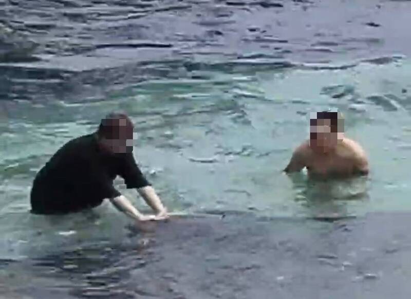 小琉球又見遊客騷擾海龜! 2男動手推遭逮捕最高可罰30萬