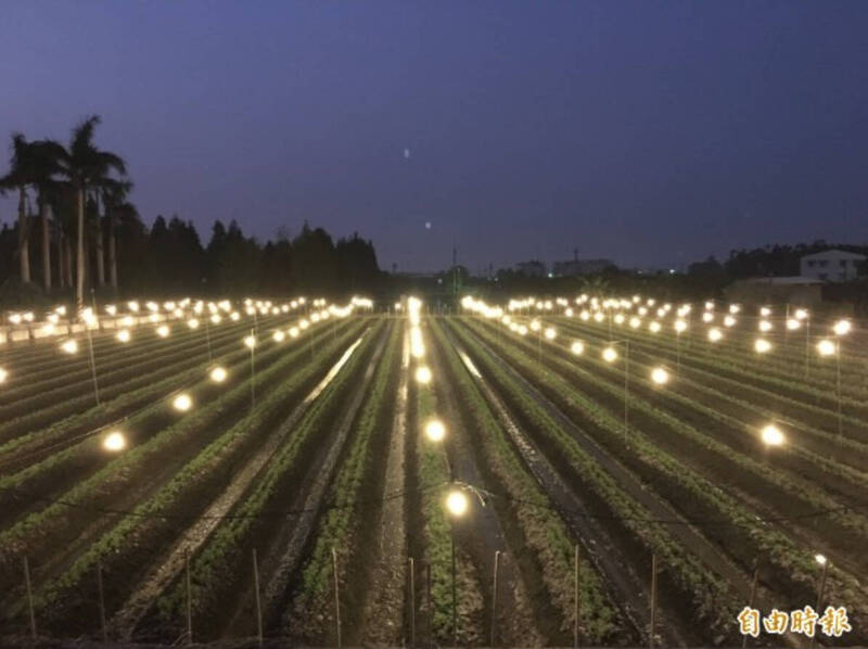 電纜線大盜落網!闖田尾7菊田剪逾170公尺 「攜帶兇器」分別判刑