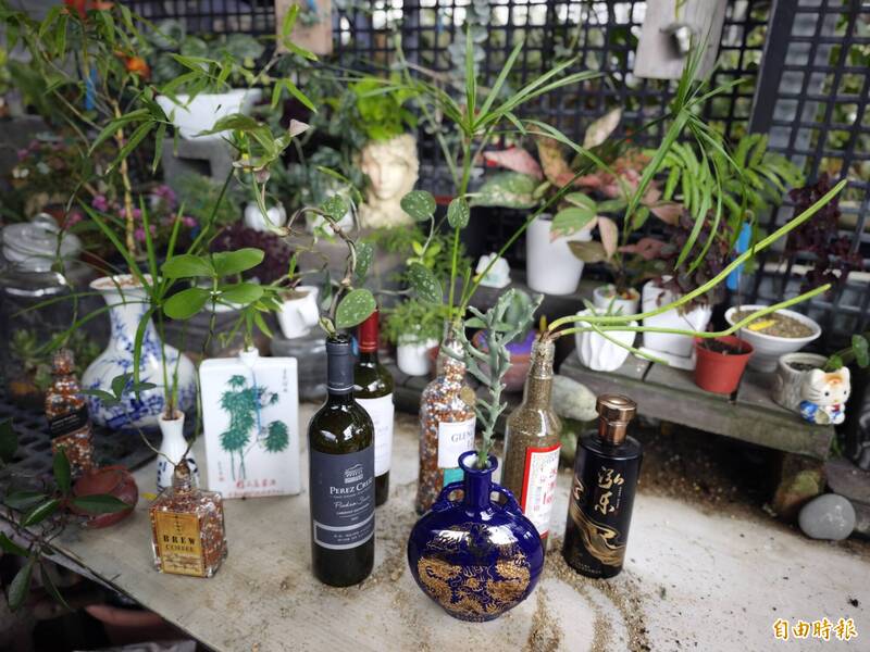 酒瓶也能當花瓶!結合多肉、水耕植物搖身變創意盆栽