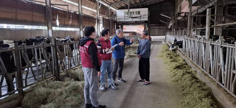 因應進口乳品挑戰 新北動保「牛力護航計畫」一對一助酪農顧牛