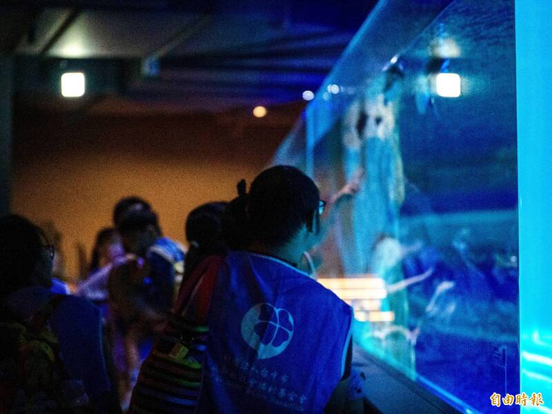 台中海洋館「客製化包場導覽」 企鵝同框慢飛天使笑了!