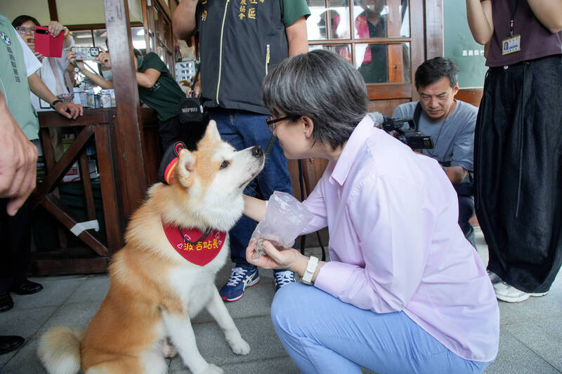 蕭美琴走訪竹崎鹿麻產車站 與秋田犬實習站長「波吉」超萌自拍
