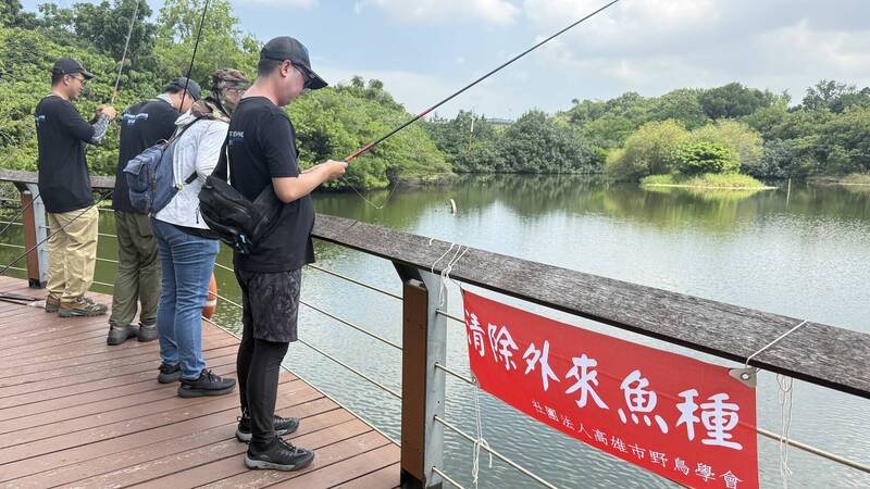志工以釣魚方式清除外來魚種。（高雄鳥會提供）