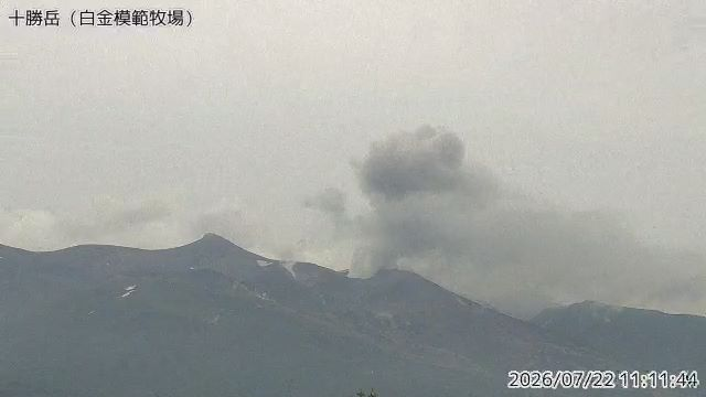北海道十勝岳相隔22年再噴發!「狂搖45秒」灰色煙柱衝200公尺