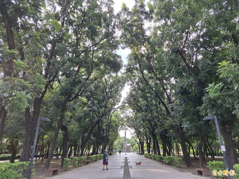 高雄都會公園旁樹叢發現人類骨骸 警比對失蹤人口