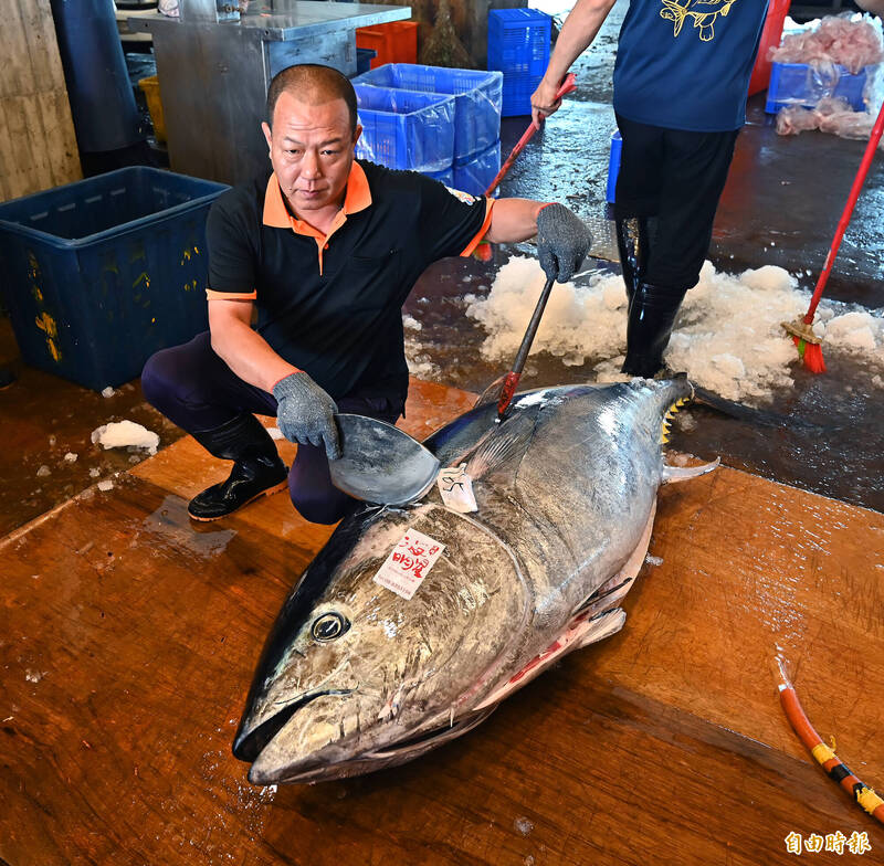 圖輯》美味新鮮的關鍵!「解魚師」出手 漁港的刀工藝術家