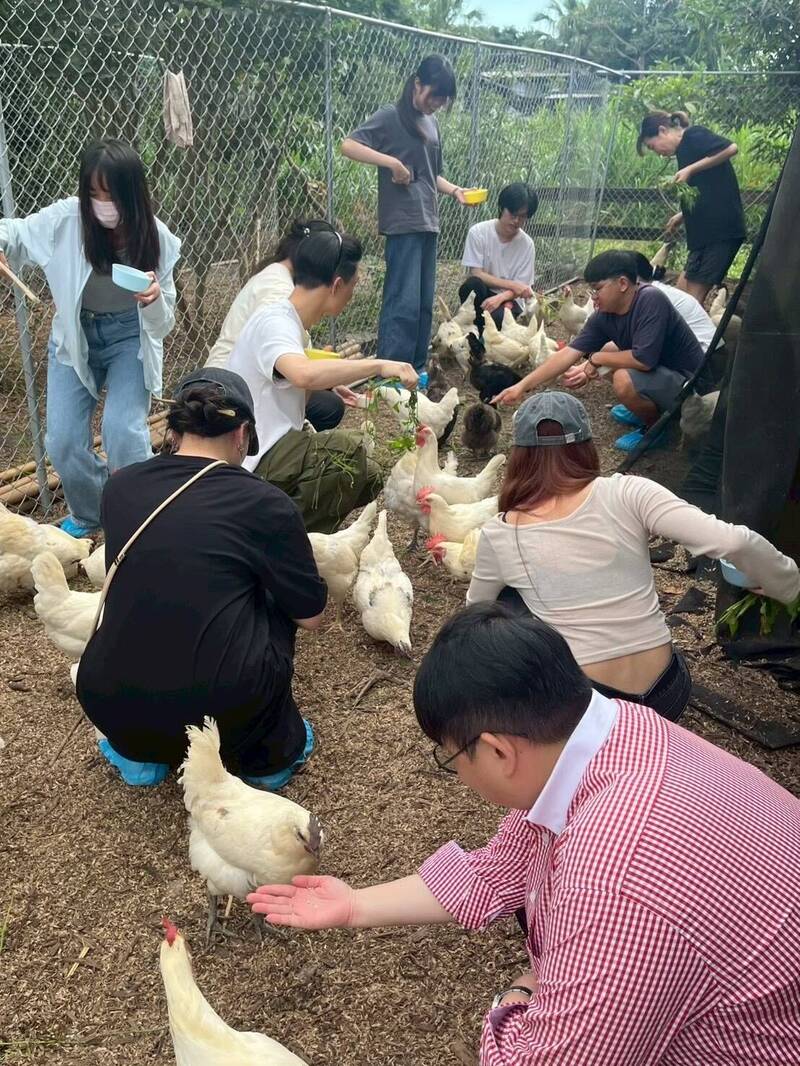 北科大建築系走入北投市場,用AI結合實境教學,培育設計力。(北科大提供) 北科大建築系走入北投市場,用AI結合實境教學,培育設計力。(北科大提供)