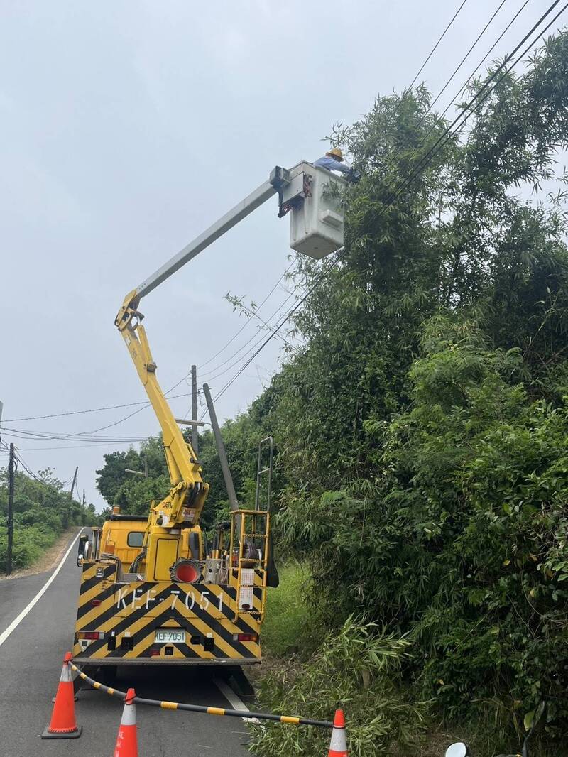 颱風前,台電屏東區處派員進行預防性樹木修剪。(台電屏東區處提供)