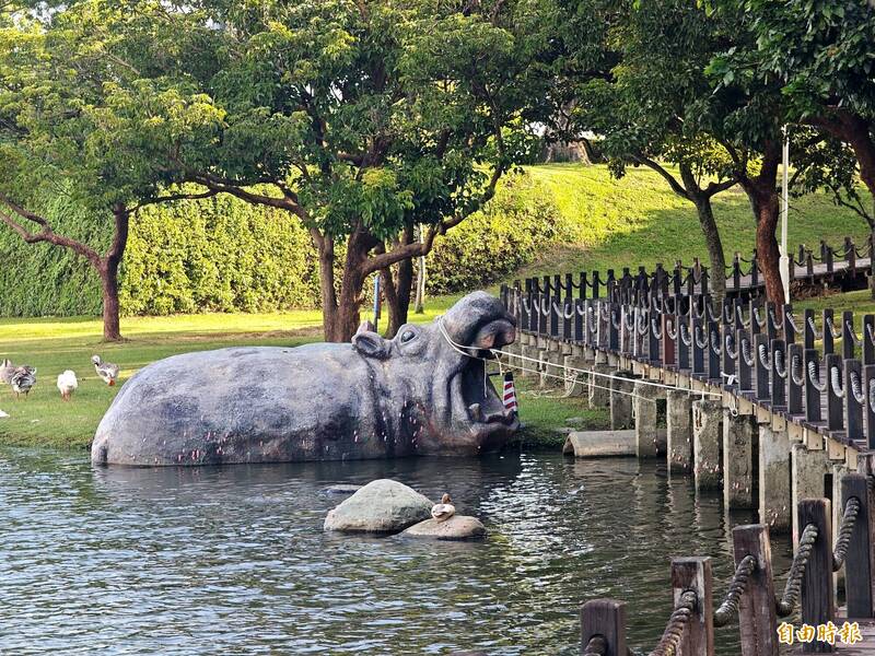 紅霞接近!奇美博物館「湖中河馬」防颱 館方出動繩索加固