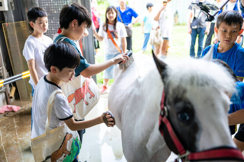 高市動保夏令營超有趣 學童化身小獸醫聽診馬兒心跳