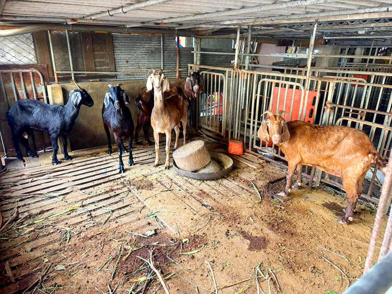 《TAIPEI TIMES》 Dioxin levels in Yunlin goat meat over limit: FDA