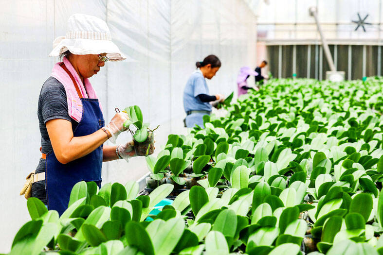 《TAIPEI TIMES》US exempts 2,231 Taiwanese products from new tariffs