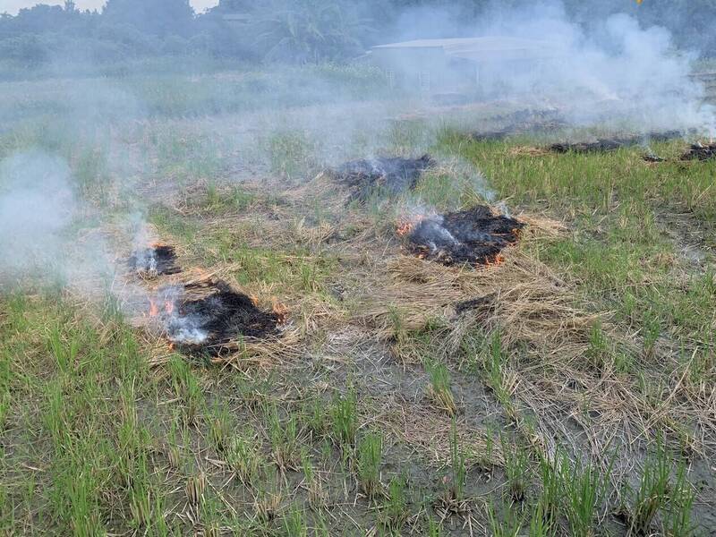 宜蘭縣一期稻作收割後嚴查露天燒稻草 最高罰10萬元