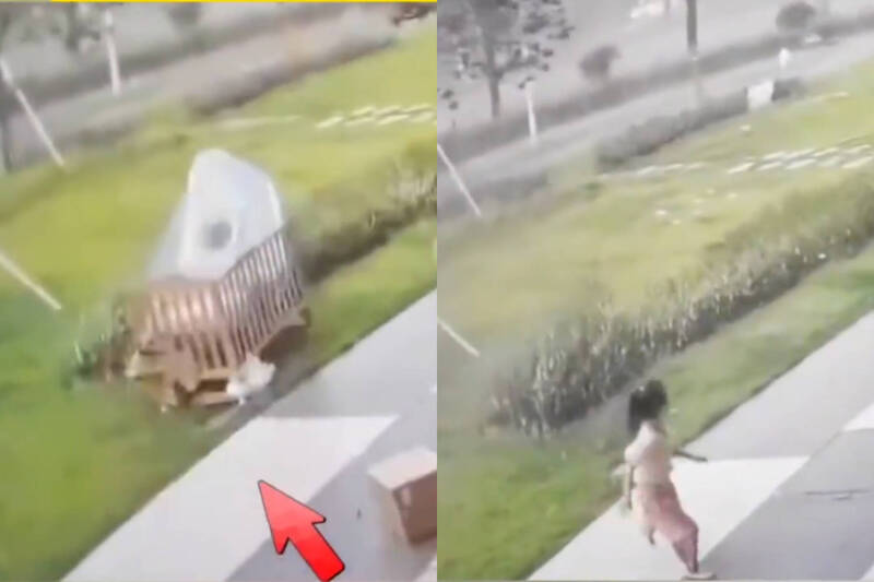 颱風紅霞太猛!6歲女童「連人帶床」慘遭吹走 驚悚畫面曝光