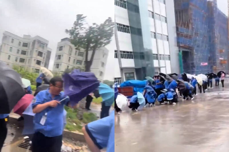 颱風紅霞登陸中國!公司逼員工冒風雨排隊打卡、工人受困高空畫面曝