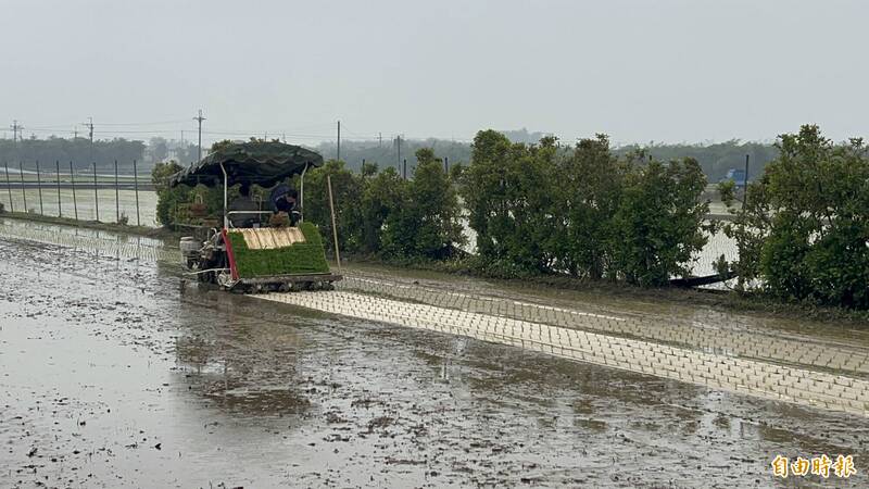 AI機器人下田! 巡田除草、趕福壽螺都能搞定