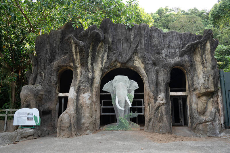 台北動物園「亞洲象展區」更新工程啟動 舊象舍開放參觀時間曝