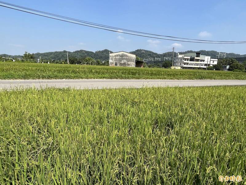 父親節「重返璞玉田」 公民團體籲停辦台知園區計畫聽證會