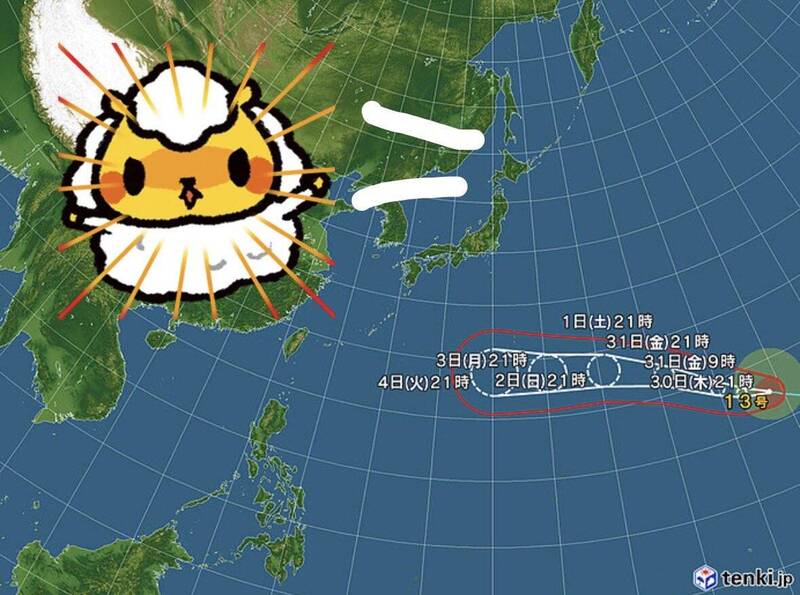 不准去熊本!全日本縣民團結「下戰帖」 祈願白海豚不襲災區