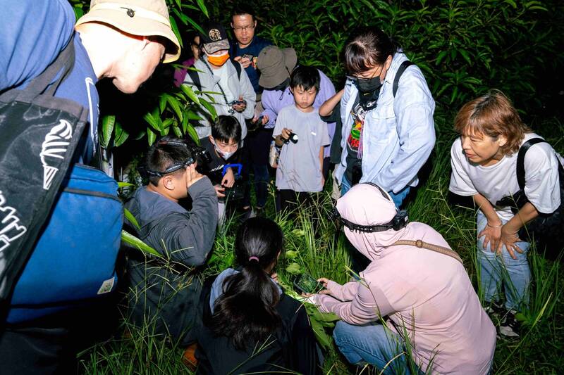 林保署舉辦「諸羅里山學堂—夜間光與影探訪諸羅樹蛙的家園」夜觀活動，親子與民眾深入棲地走讀。（林保署嘉義分署提供）