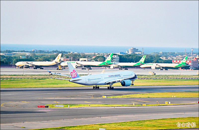 中颱白海豚靠近 國籍航空往返沖繩 明全取消