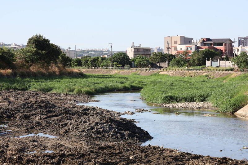 竹北豆子埔溪河道整治 改採「割草外運、淤土兩側夯實」防洪排水
