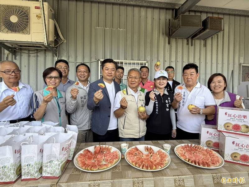 宜蘭員山紅心芭樂軟Q上市 果香濃郁掀搶購
