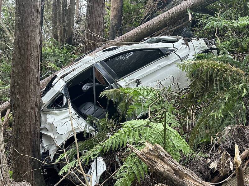 除草驚見白骨!大鹿林道深谷轎車墜毀 60歲男車主3月被報失蹤
