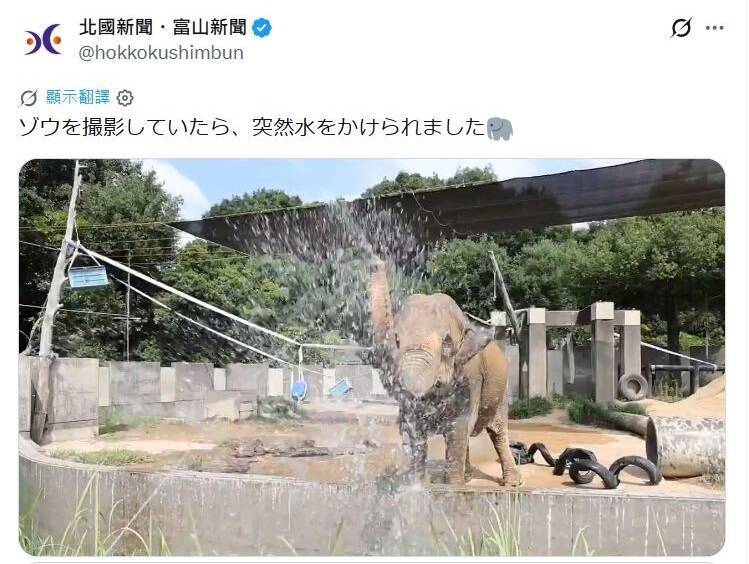 擔心兩腳獸中暑?攝影師拍大象「下秒濕身」 笑翻百萬人