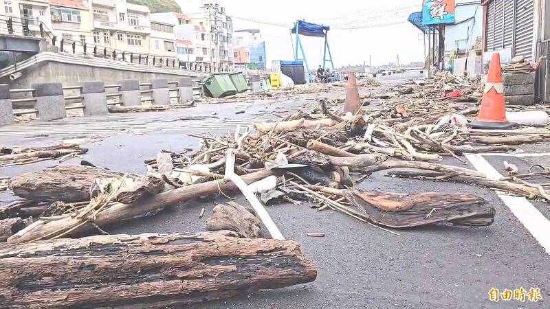白海豚掀巨浪 新北瑞芳鼻頭漁港漂流木打上岸