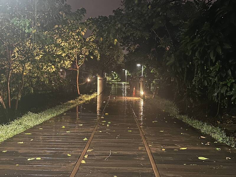 颱風夜路樹倒塌、婦人倒臥雨中 桃警連夜救援忙翻