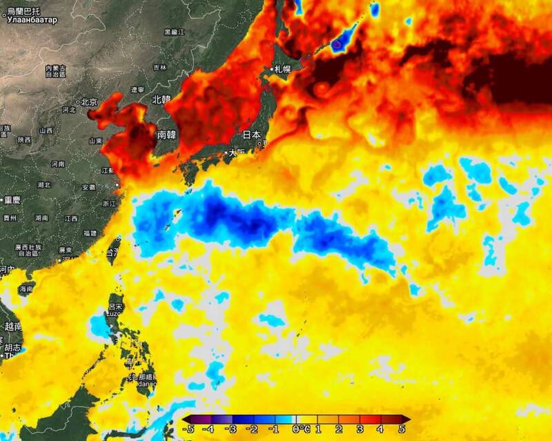 走近6000公里到東亞! 鄭明典曝白海豚在太平洋上留下痕跡
