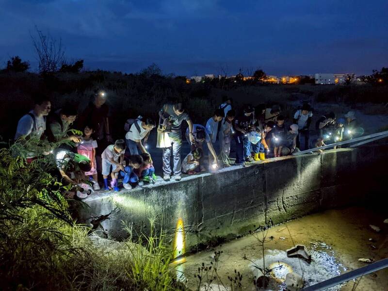 高美濕地生態導覽、夜間陸蟹保育體驗 即日起報名