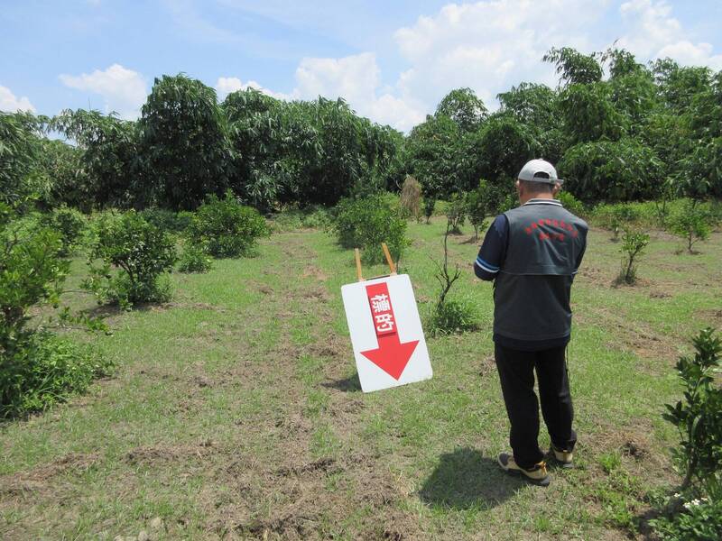 雲林男無照駕駛欠7萬罰款害家產險遭法拍 弟弟清償保祖產