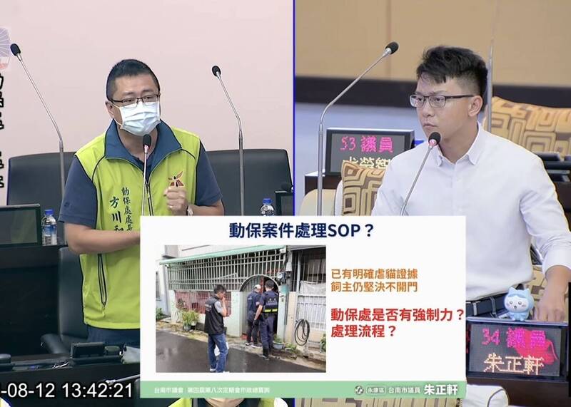 虐貓影片曝光仍救不了 台南議員:緊急救援「卡在門外」應修法