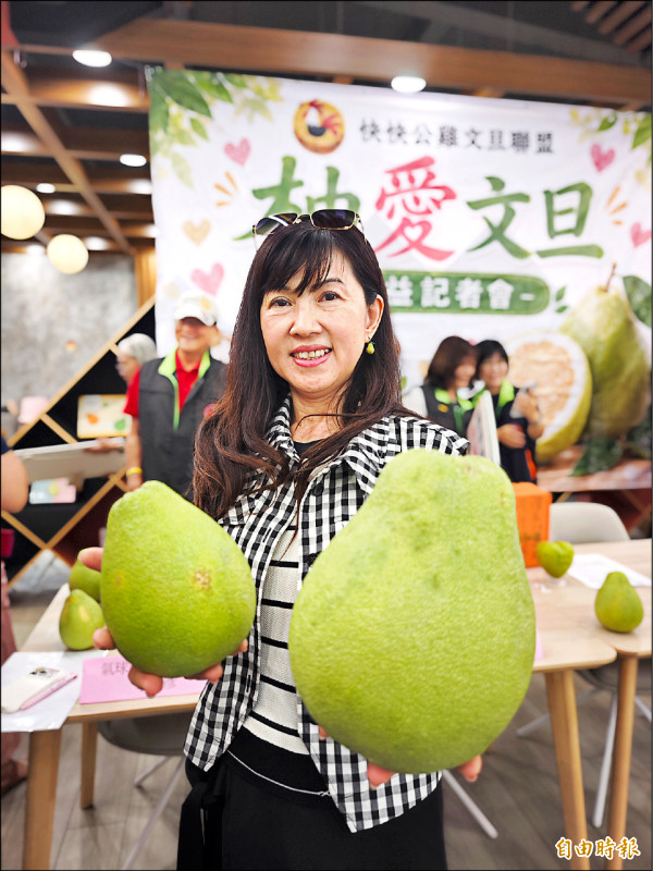 麻豆文旦加工收購 新株大果今起集貨10萬斤