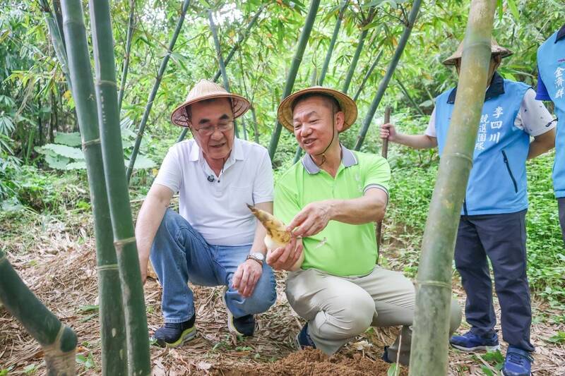 李四川到五股觀音山採筍 談農業觀光政見、品嘗美味「綠寶石」