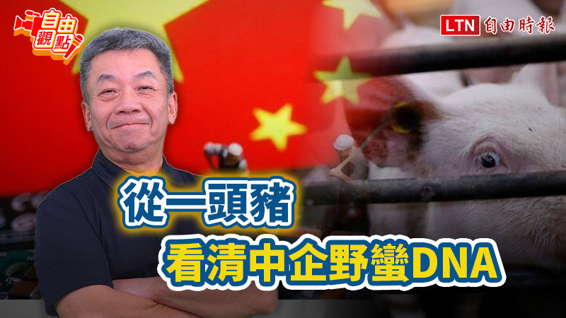 自由觀點》 從一頭豬 看清中企野蠻DNA