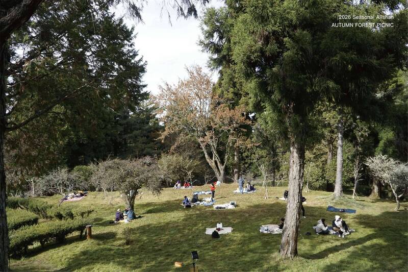 阿里山植物園「森林野餐控」免費玩! 每日限80名今起開搶