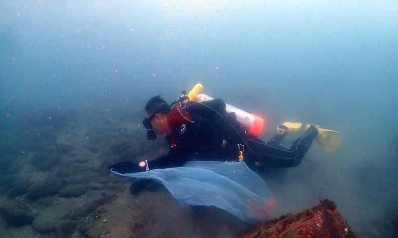 桃園環潛隊專題2-1》親身接觸海洋 郵差化身潛水教練