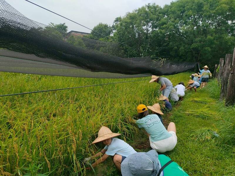 有學有玩又有吃!台大農場農藝分場 登戶外學習人數最多環教場所